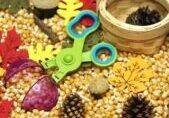 Fall sensory bin picture