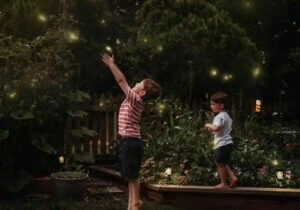 Screenshot 2022-04-11 at 08-34-12 Fun with Fireflies • RUN WILD MY CHILD